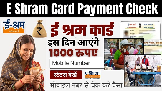 E Shram Card Yojana Payment Check