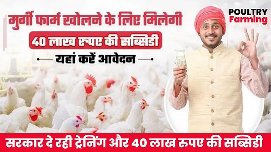 Poultry Farming 2024