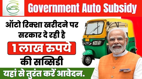 Government Auto Subsidy