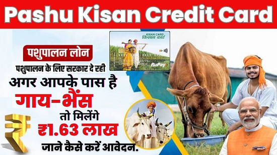 Pashu Kisan Credit Scheme 2024