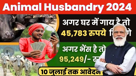 Animal Husbandry 2024