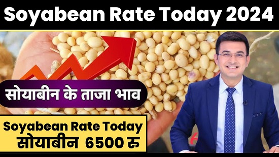 Soyabean Rate Today