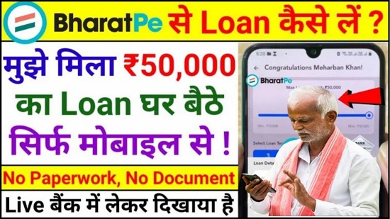 Bharat Pe Loan Hindi 2024