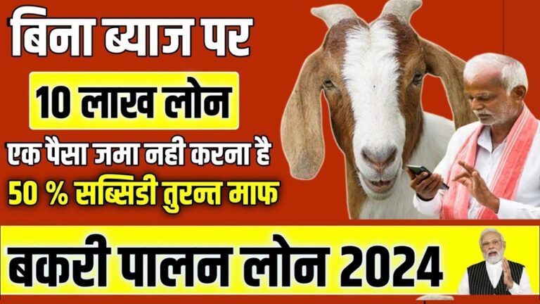 Goat Farming Loan Subsidy Hindi