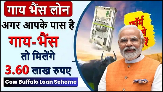 Cow Buffalo Loan Scheme Apply