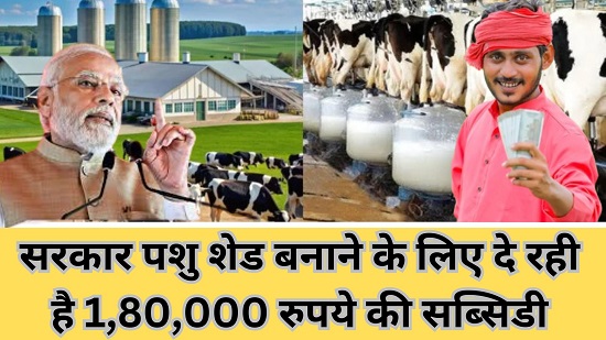 Dairy Farm Loan 2025